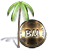 Bush Media Logo